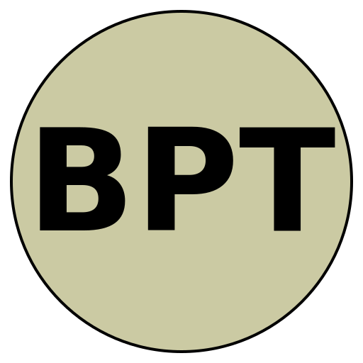 Bold Pioneer Travels